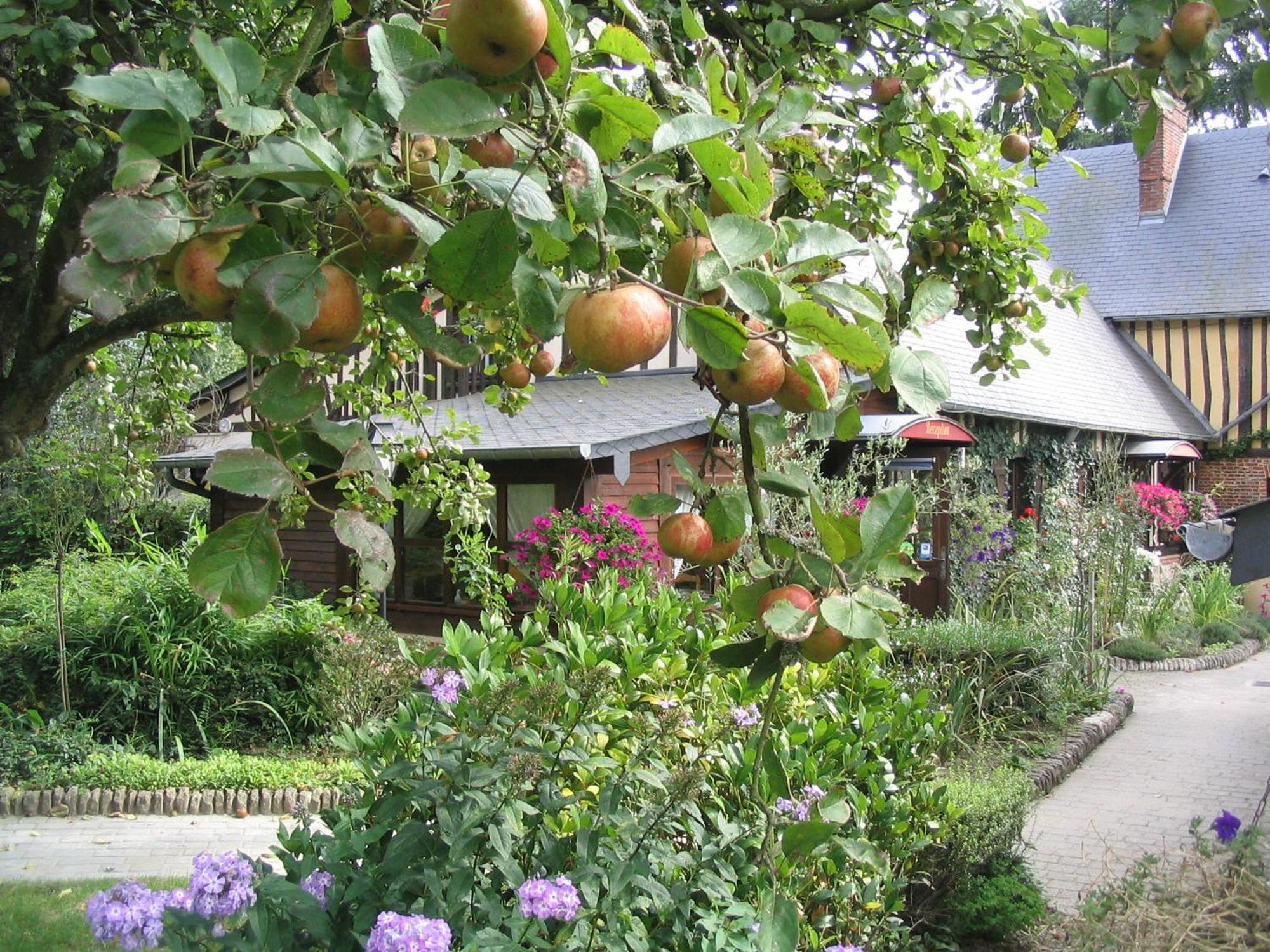 Auberge Du Val Au Cesne Saint-Clair-sur-les-Monts Exterior foto